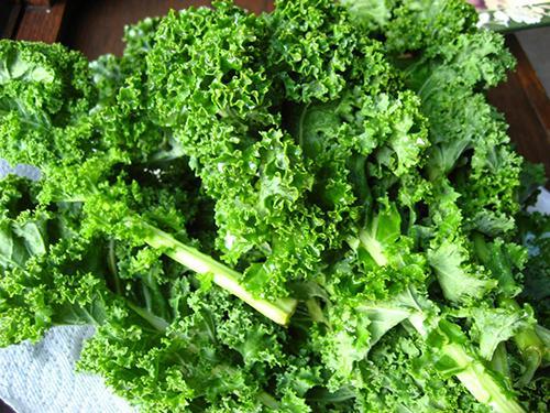芥菜,西兰花等十字花科蔬菜的提取物,可以用于治疗癌症|癌症|芥菜|西